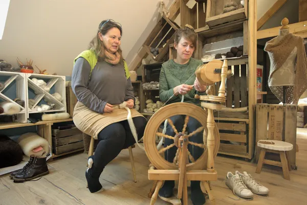 Découvrez le filage au rouet - Image n°3 - Wecandoo