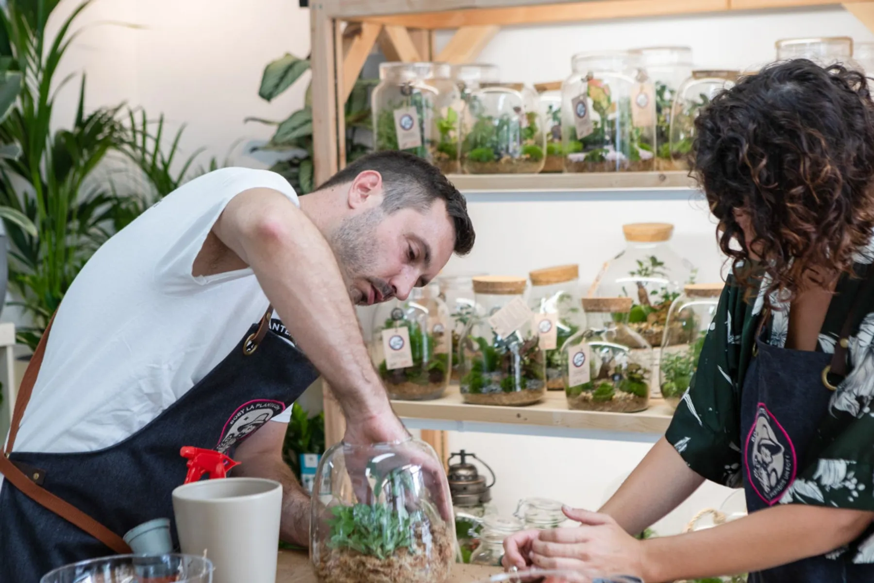 Composez votre terrarium géant (Taille XXL) - Image n°4 - Wecandoo