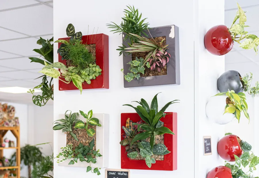 Créez votre cadre végétal de plantes fraîches - Image n°1 - Wecandoo