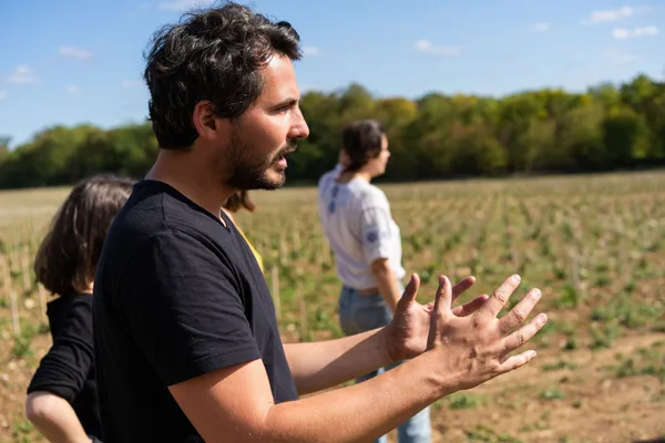 Dégustez une sélection de vins au milieu des vignes - Afbeelding nr. 4 - Wecandoo