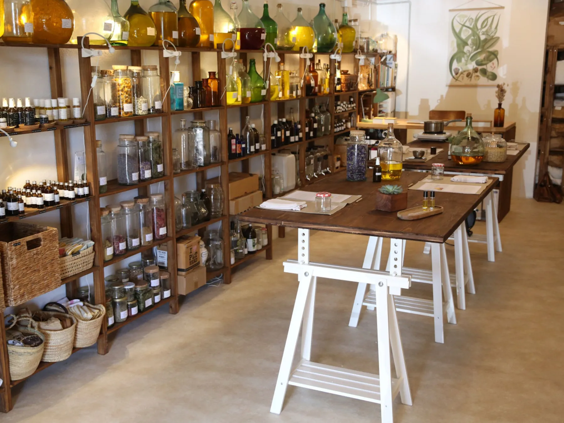 Vivez une journée d'immersion avec une herbaliste autour de la distillation de plantes - Image n°1 - Wecandoo