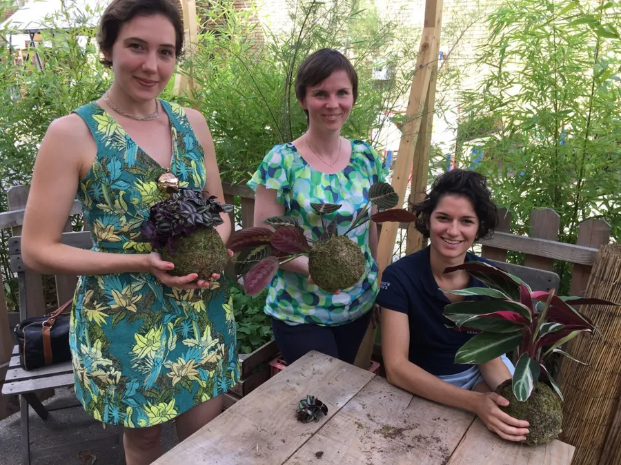 Créez votre kokedama - Image n°1 - Wecandoo