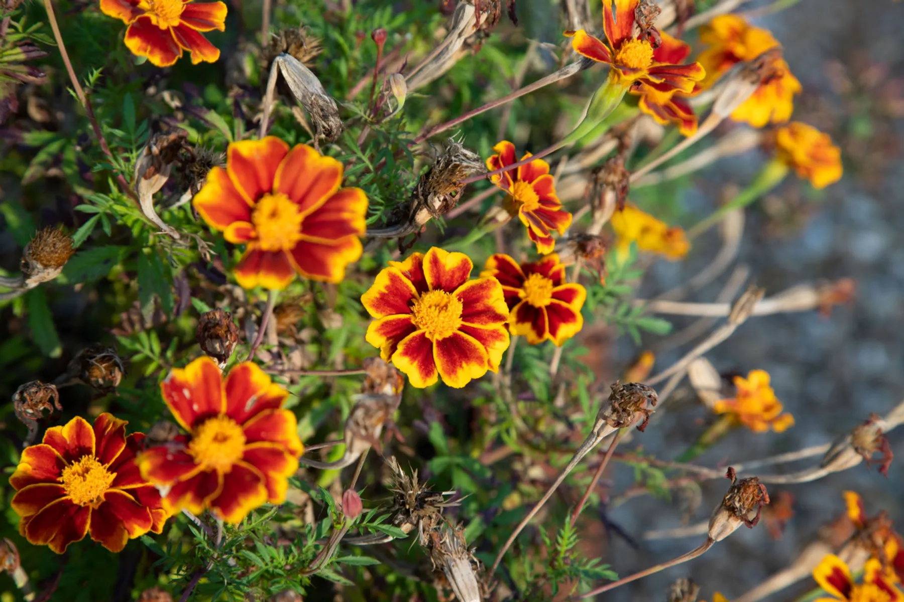 Réalisez votre papier ensemencé dans une ferme urbaine - Image n°4 - Wecandoo