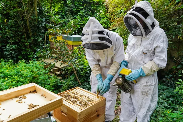 Wecandoo - Initiez-vous à l'apiculture urbaine