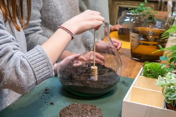 Composez votre terrarium en famille - Image n°2 - Wecandoo