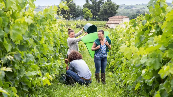 La passion du terroir et de ses artisans