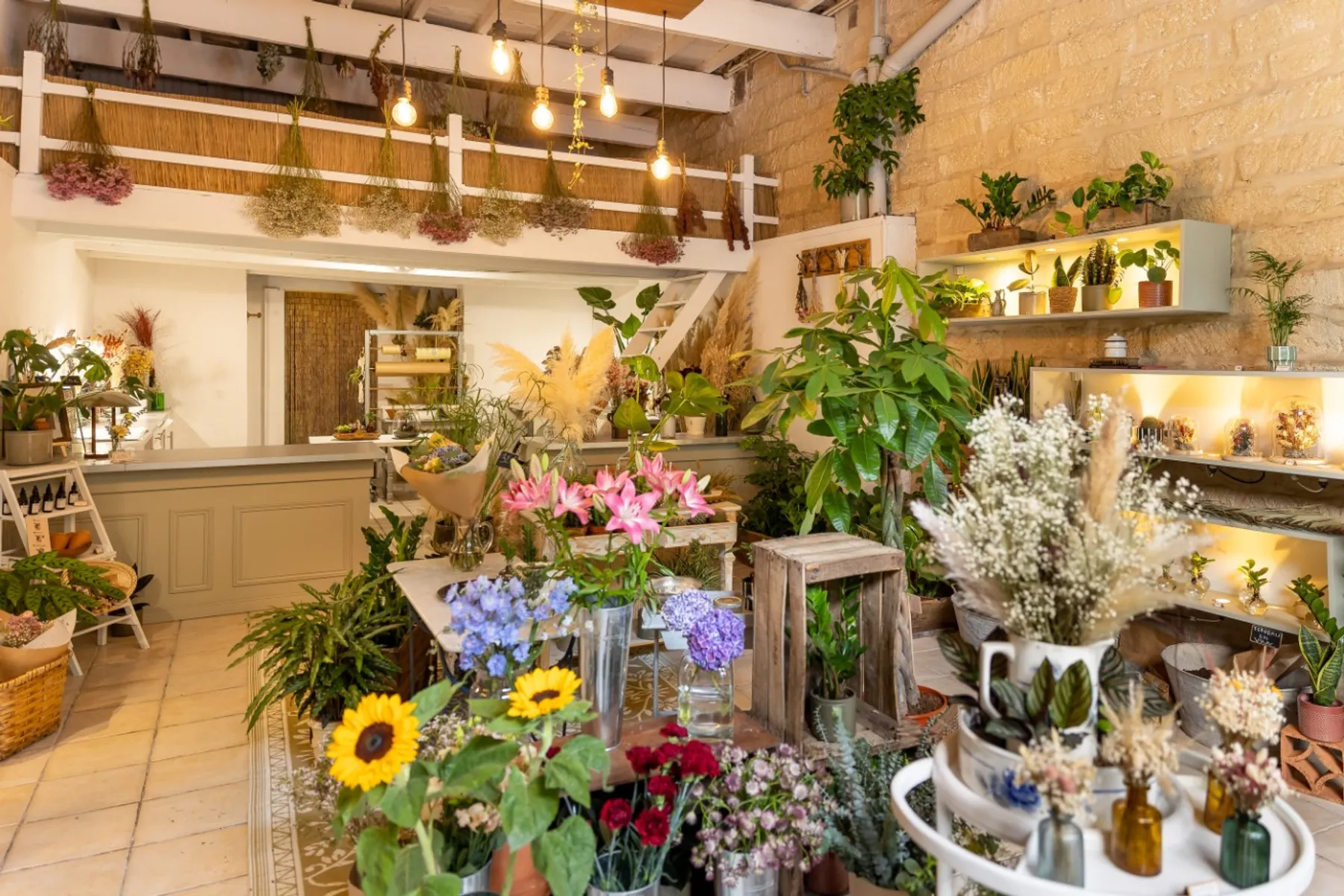 Créez votre cloche végétale - Image n°1 - Wecandoo