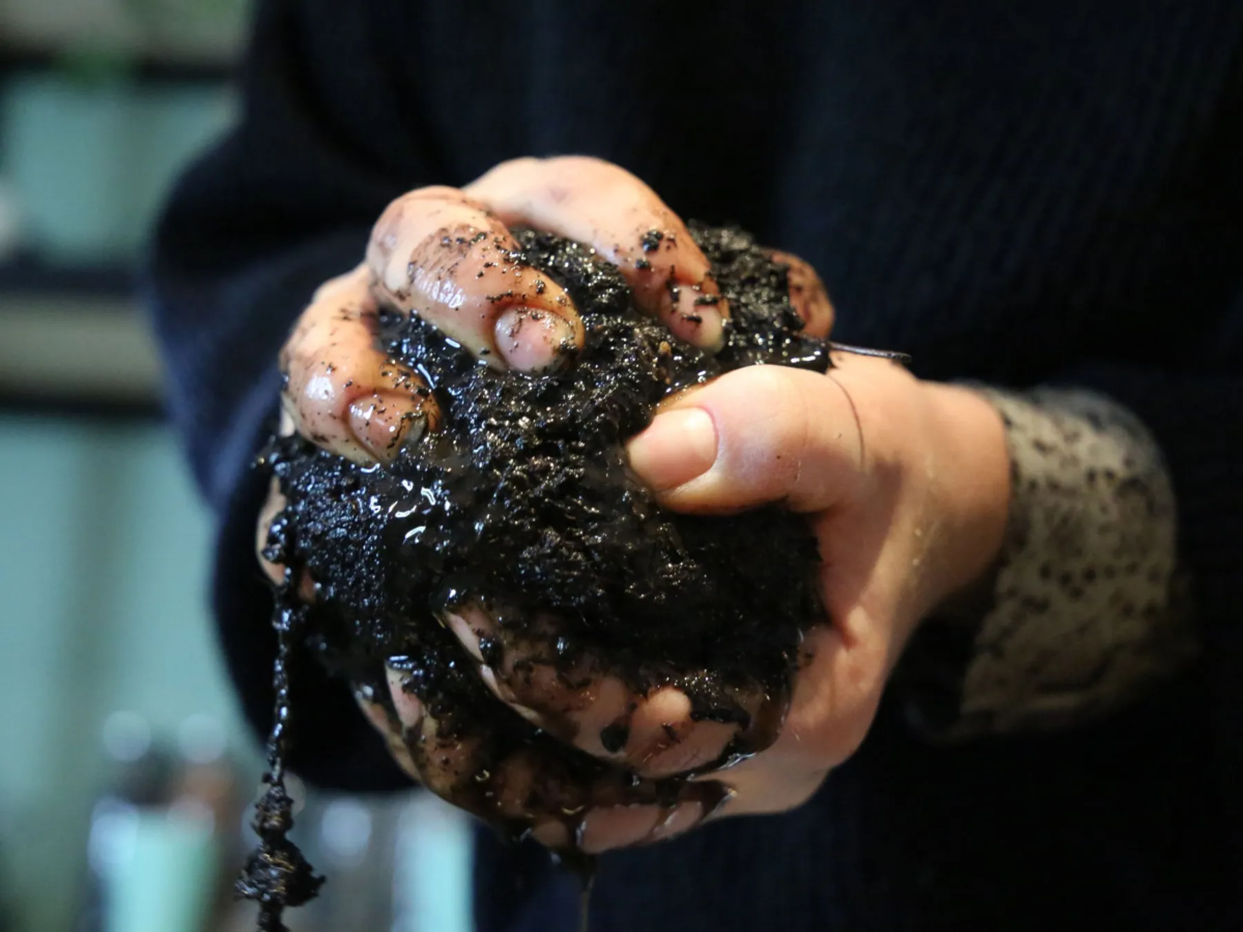 Réalisez votre kokédama - Image n°4 - Wecandoo