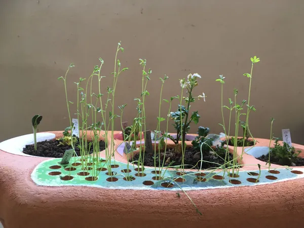 Wecandoo - Modelez votre jardinière d'intérieur en céramique
