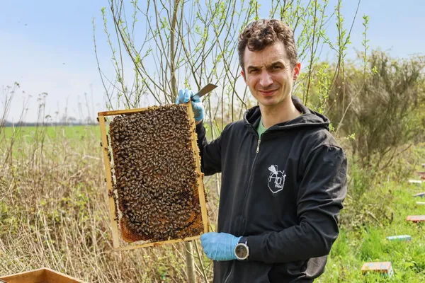 Formez-vous à l'apiculture sur une journée - Image n°4 - Wecandoo