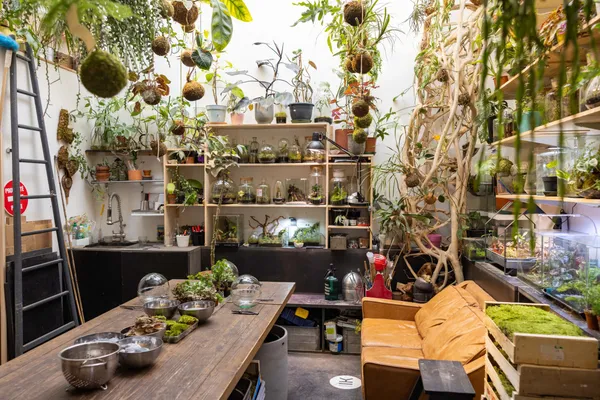 Créez votre terrarium sphérique - Image n°1 - Wecandoo