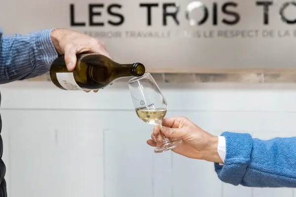 Apprenez à soigner la vigne au printemps et dégustez du vin - Image n°3 - Wecandoo