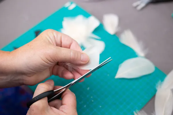Wecandoo - Fabriquez votre accessoire en plumes