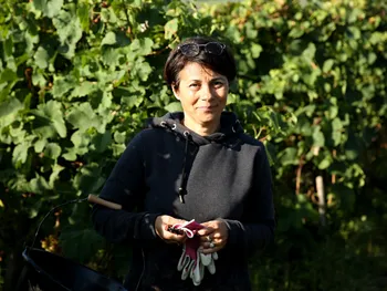 Isabelle: Artisan Vigneron in Loire (42)