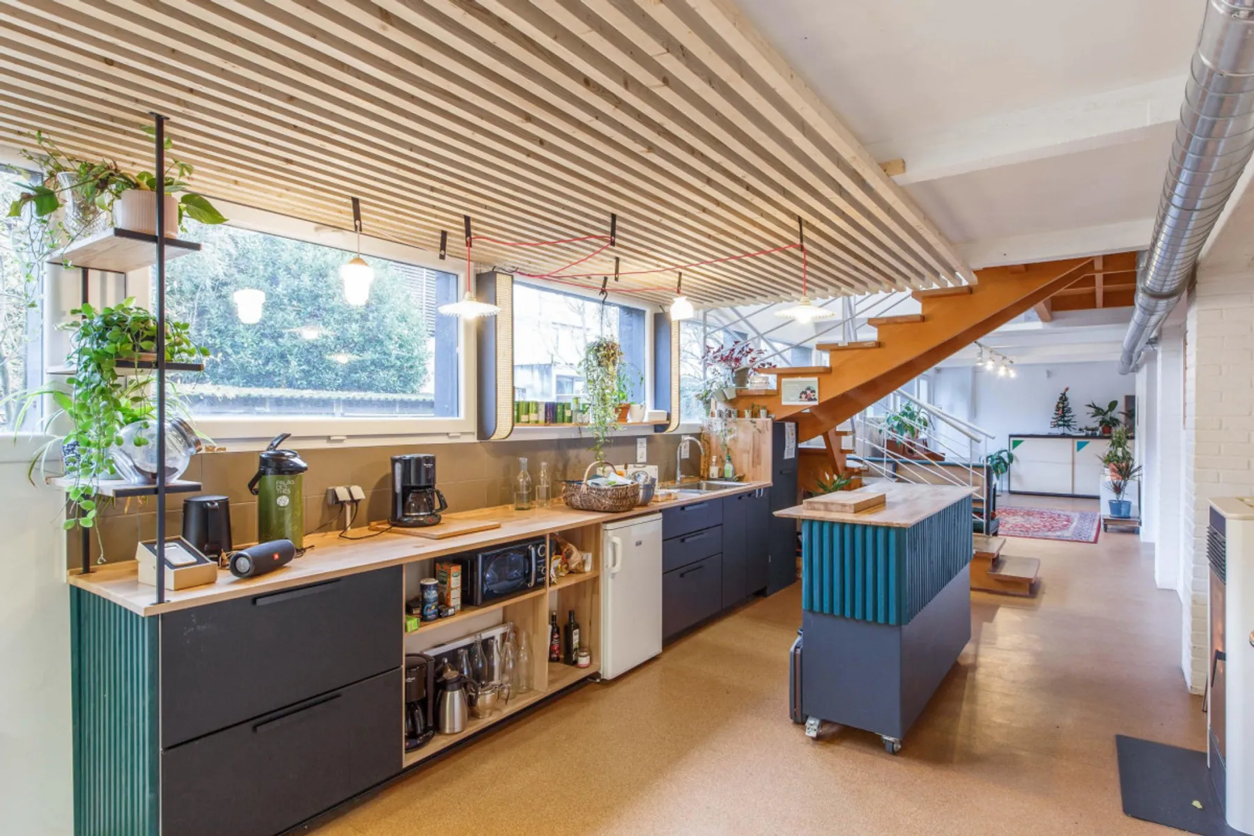 Cuisinez des plantes sauvages - Image n°1 - Wecandoo