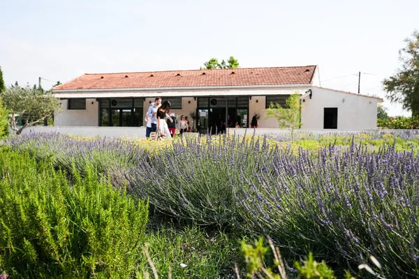 Récoltez la lavande et distillez votre hydrolat et huile essentielle - Image n°1 - Wecandoo