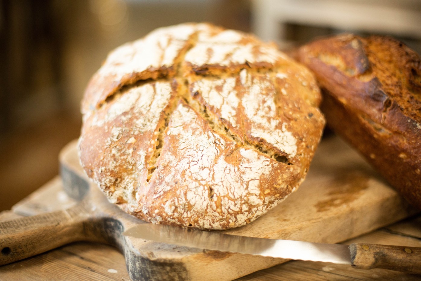 Wecandoo - Réalisez votre levain naturel, vos pains de blé de variétés paysannes - Image n°6