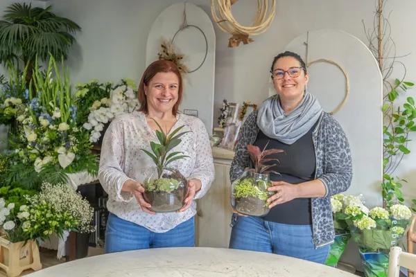 Wecandoo - Composez votre propre terrarium