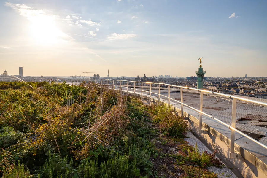 Apprenez à cultiver votre potager urbain - Image n°1 - Wecandoo