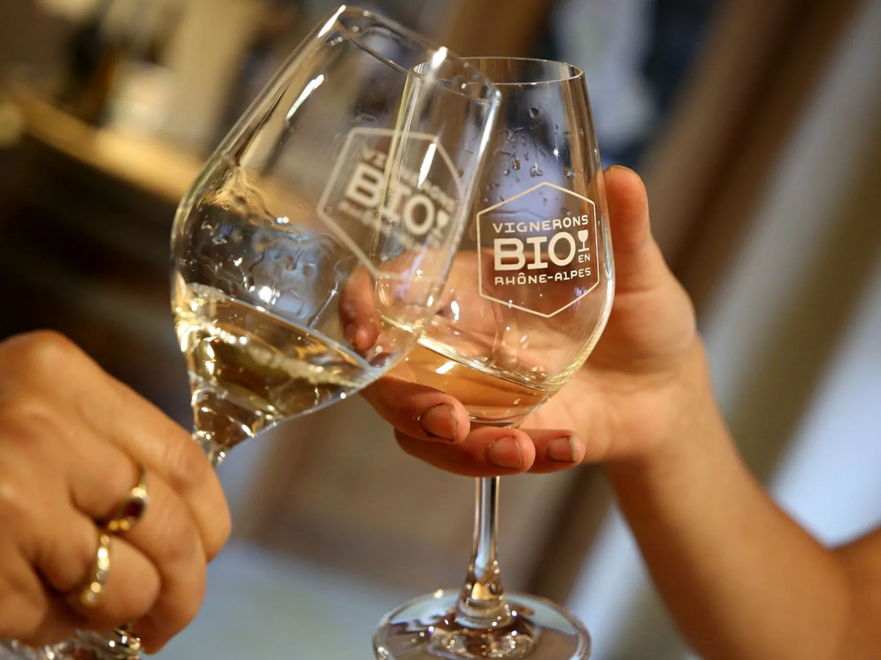 Découvrez le travail des vignes en biodynamie - Afbeelding nr. 4 - Wecandoo