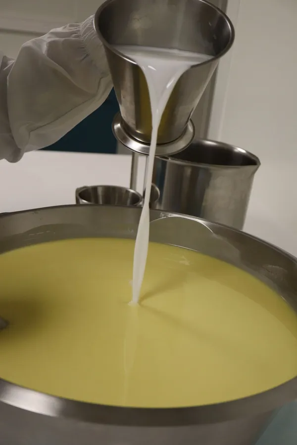 Fabriquez vos savons au lait d'ânesse - Afbeelding nr. 3 - Wecandoo