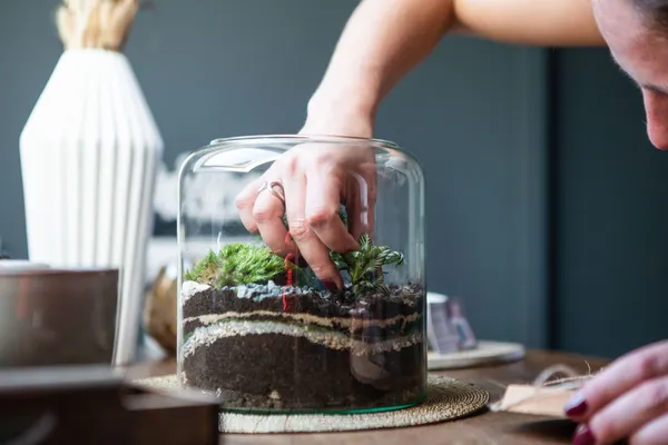 Wecandoo - Composez votre terrarium