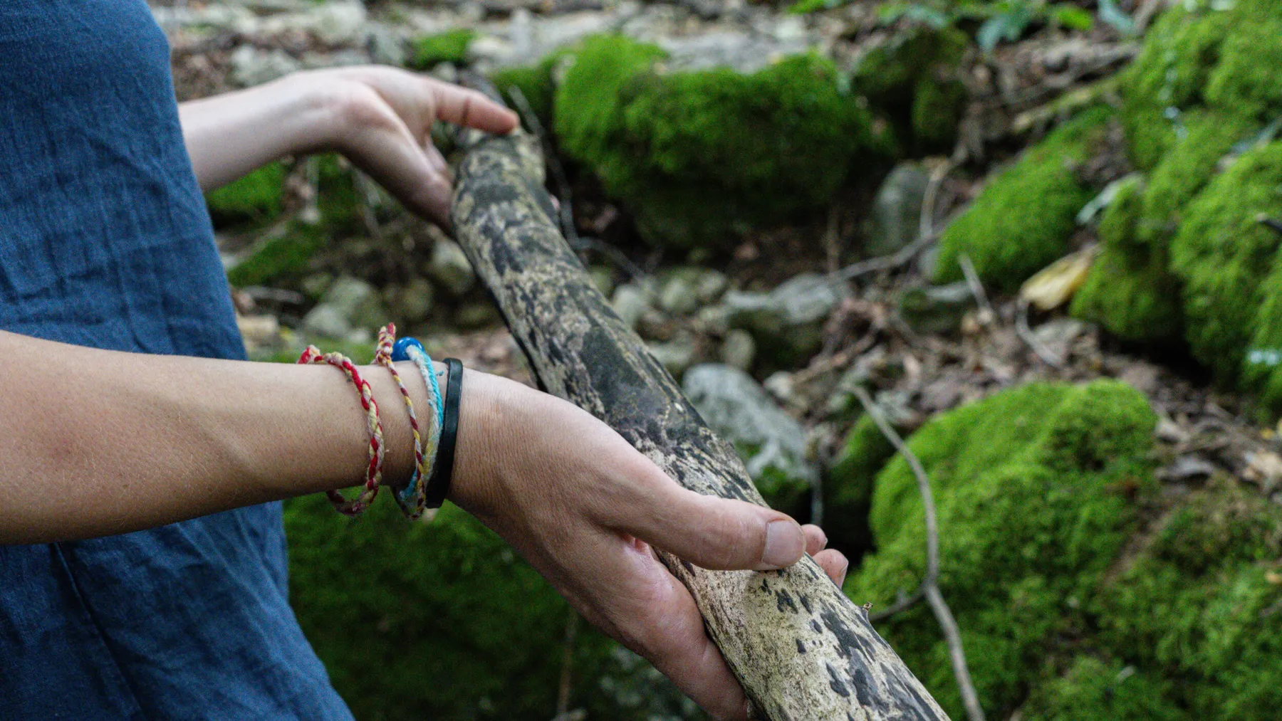 Partez en forêt et créez votre cuillère en bois sur une journée - Image n°3 - Wecandoo