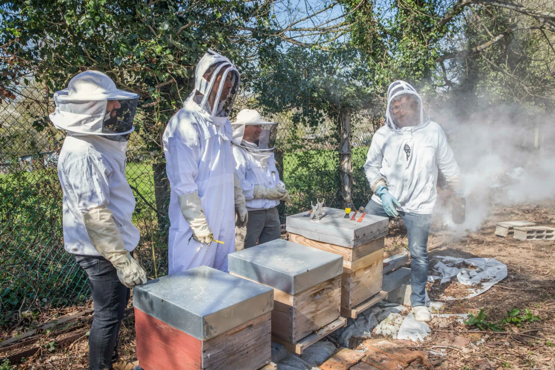 Initiez-vous à l'apiculture - Image n°2 - Wecandoo