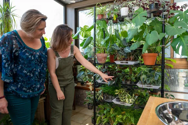 Fabriquez votre terrarium - Image n°2 - Wecandoo