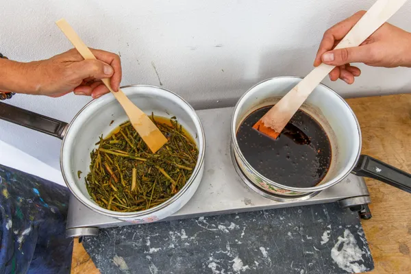 Fabriquez vos encres végétales et sérigraphiez vos images - Image n°3 - Wecandoo