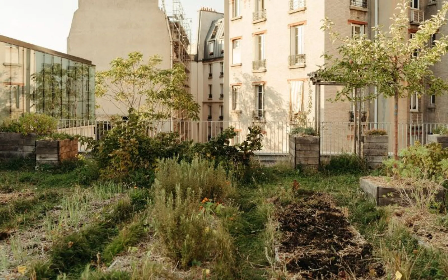 Découvrez la permaculture - Image n°1 - Wecandoo