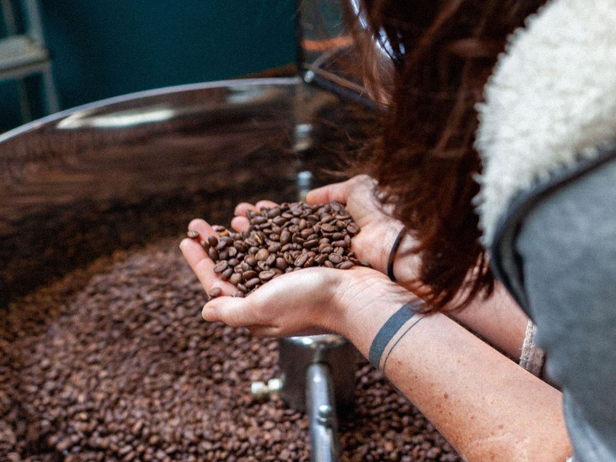 Ateliers Torréfaction