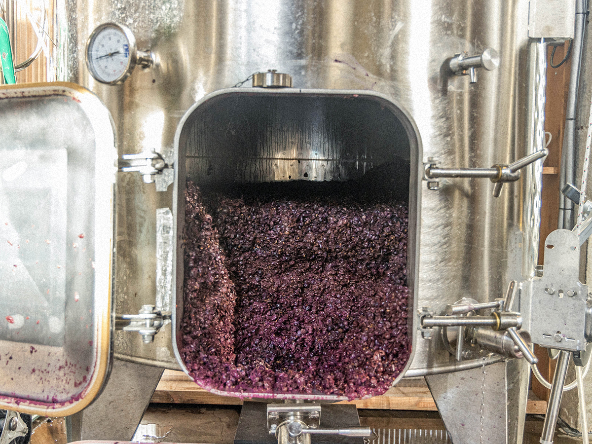 Ateliers Vinification