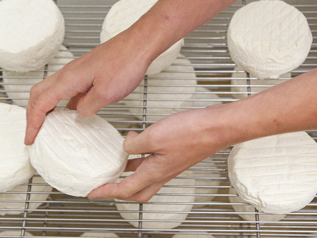 Ateliers Fromagerie et crèmerie