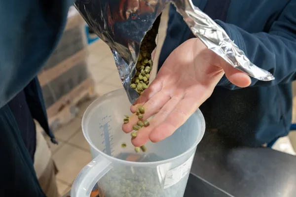 Passez en duo une journée dans la peau d'un brasseur - Image n°2 - Wecandoo