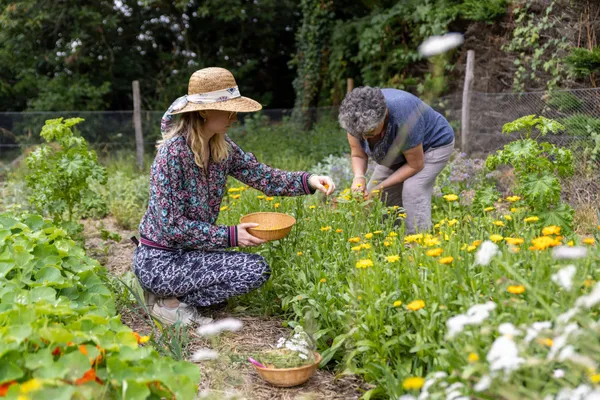 Découvrez l'herboristerie sur une demi-journée - Image n°2 - Wecandoo