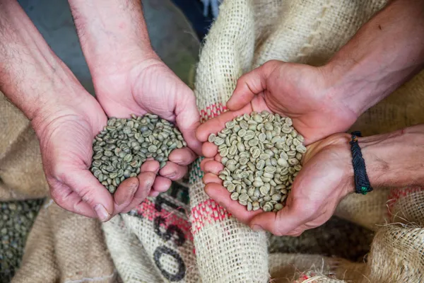 Initiez-vous à la torréfaction - Image n°2 - Wecandoo