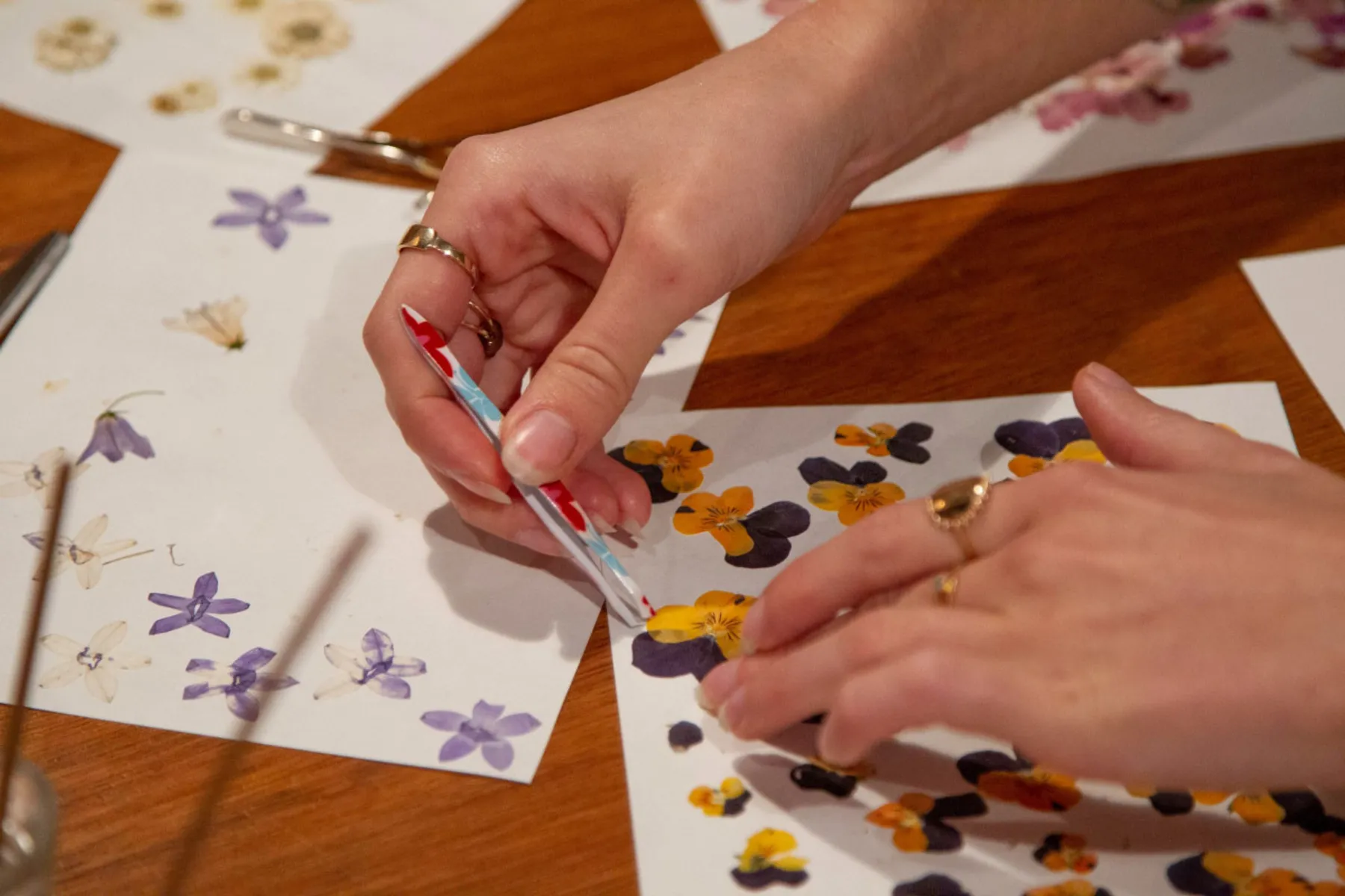 Confectionnez votre herbier - Image n°2 - Wecandoo