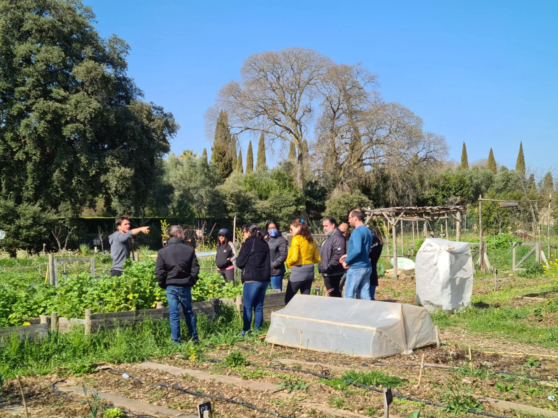 Initiez-vous à l'agriculture urbaine - Afbeelding nr. 4 - Wecandoo