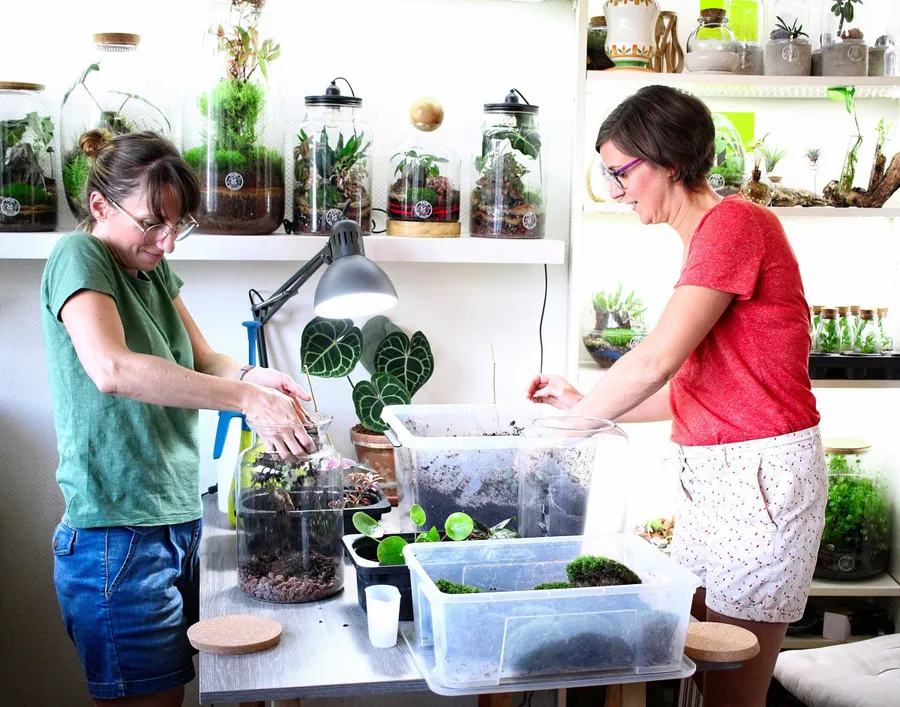Réalisez votre terrarium - Image n°1 - Wecandoo