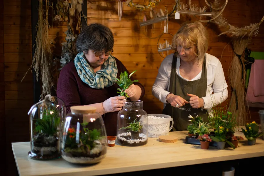 Composez votre terrarium - Afbeelding nr. 1 - Wecandoo