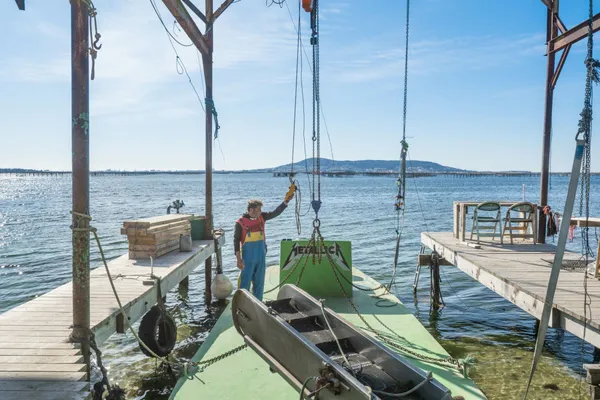 Initiez-vous à la culture ostréicole ! - Image n°2 - Wecandoo