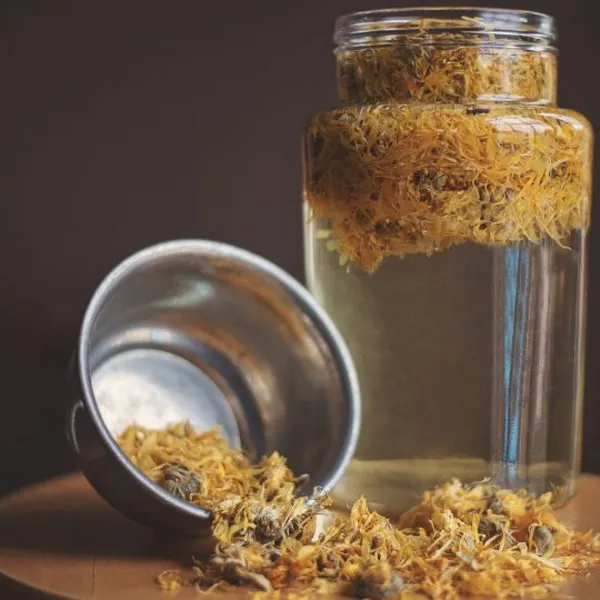 Concevez votre macérat huileux et votre baume de plantes médicinales - Image n°1 - Wecandoo