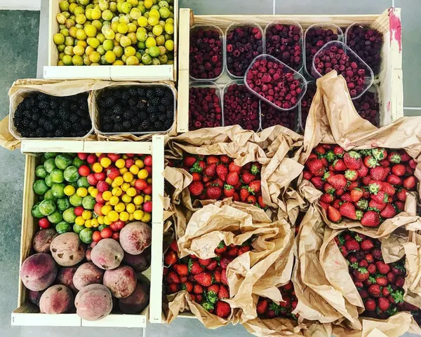 Fabriquez votre glace artisanale - Image n°3 - Wecandoo