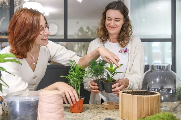 Composez votre terrarium - Image n°3 - Wecandoo