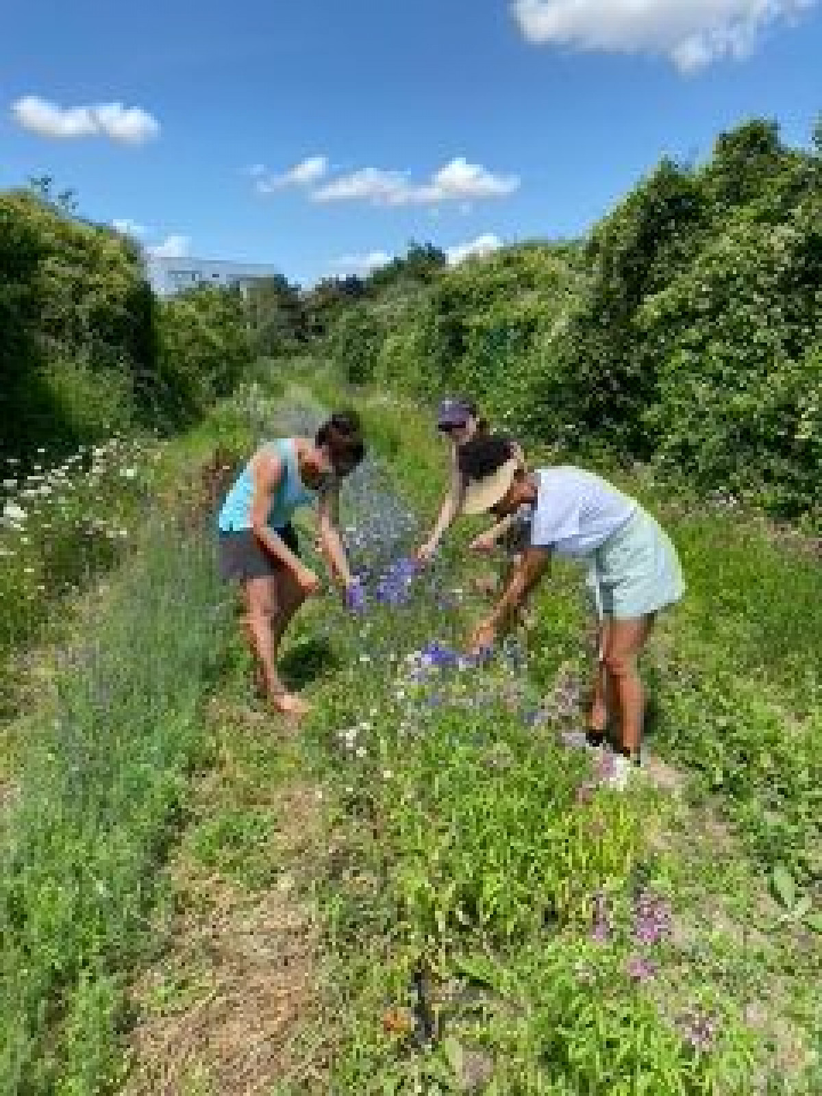 Wecandoo - Visitez une ferme florale et découvrez la permaculture - Image n°9