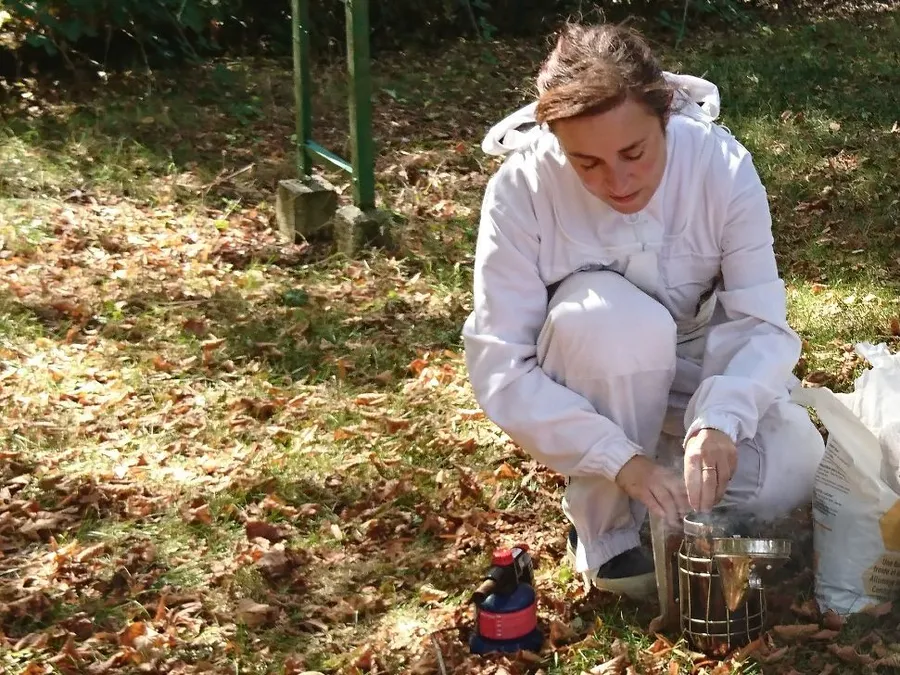 Initiez-vous à l'apiculture sur une demi-journée - Image n°1 - Wecandoo