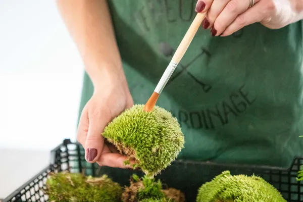 Fabrique ton terrarium - Image n°3 - Wecandoo