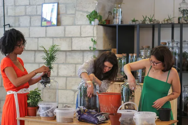 Créez votre terrarium XL - Image n°2 - Wecandoo