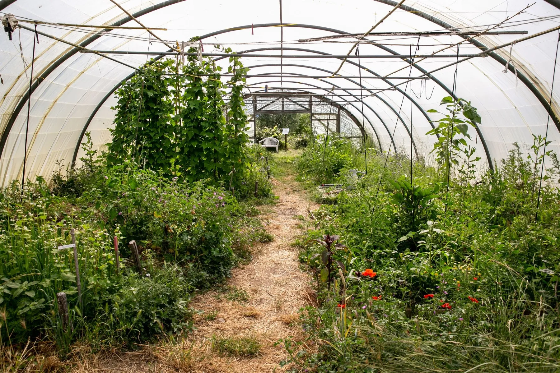 Initiez-vous à la permaculture et à l'agroécologie - Image n°5 - Wecandoo